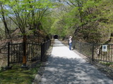 DSCF5918