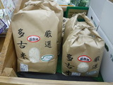 DSCF6430