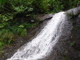 DSCF2481