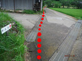 BlogPaint