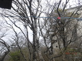 DSCF5955