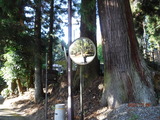 DSCF9603