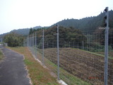 DSCF4564