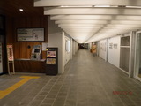 DSCF0566