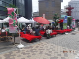 DSCF7028