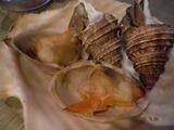 DSCF3965