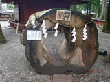 DSCF7749