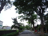 DSCF6421