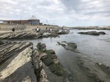 IMG-3378