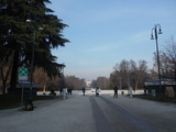 DSCF3449