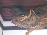 DSCF5419