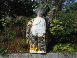 DSCF8350