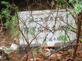 DSCF7393