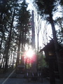 DSCF6016