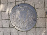 IMG-3506