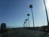 DSCF0607