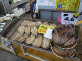 DSCF9160