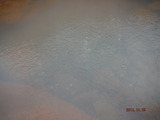 DSCF8313