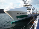 DSCF9557
