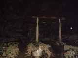 DSCF5945