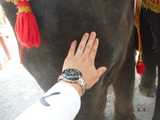 DSCF5905