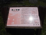 DSCF5937