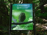 DSCF6781
