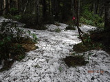 DSCF1026