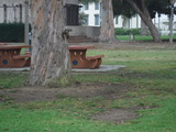 DSCF2353