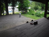 DSCF6326