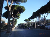 DSCF6716