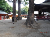 DSCF6717