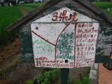 DSCF6536