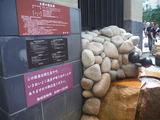 DSCF7566