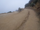 DSCF2248