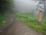DSCF4047