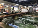 IMG-3385