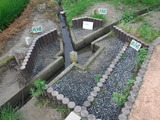 DSCF6529
