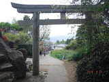 DSCF6002