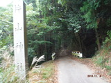 DSCF4546