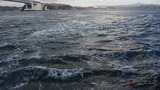DSCF9564