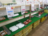 DSCF6433