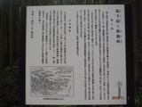 DSCF4548