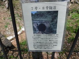 DSCF5919