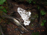 DSCF1025