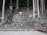 DSCF6306