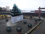 DSCF9978