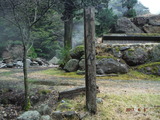 DSCF7396
