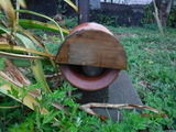 DSCF9980