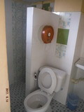 DSCF8866